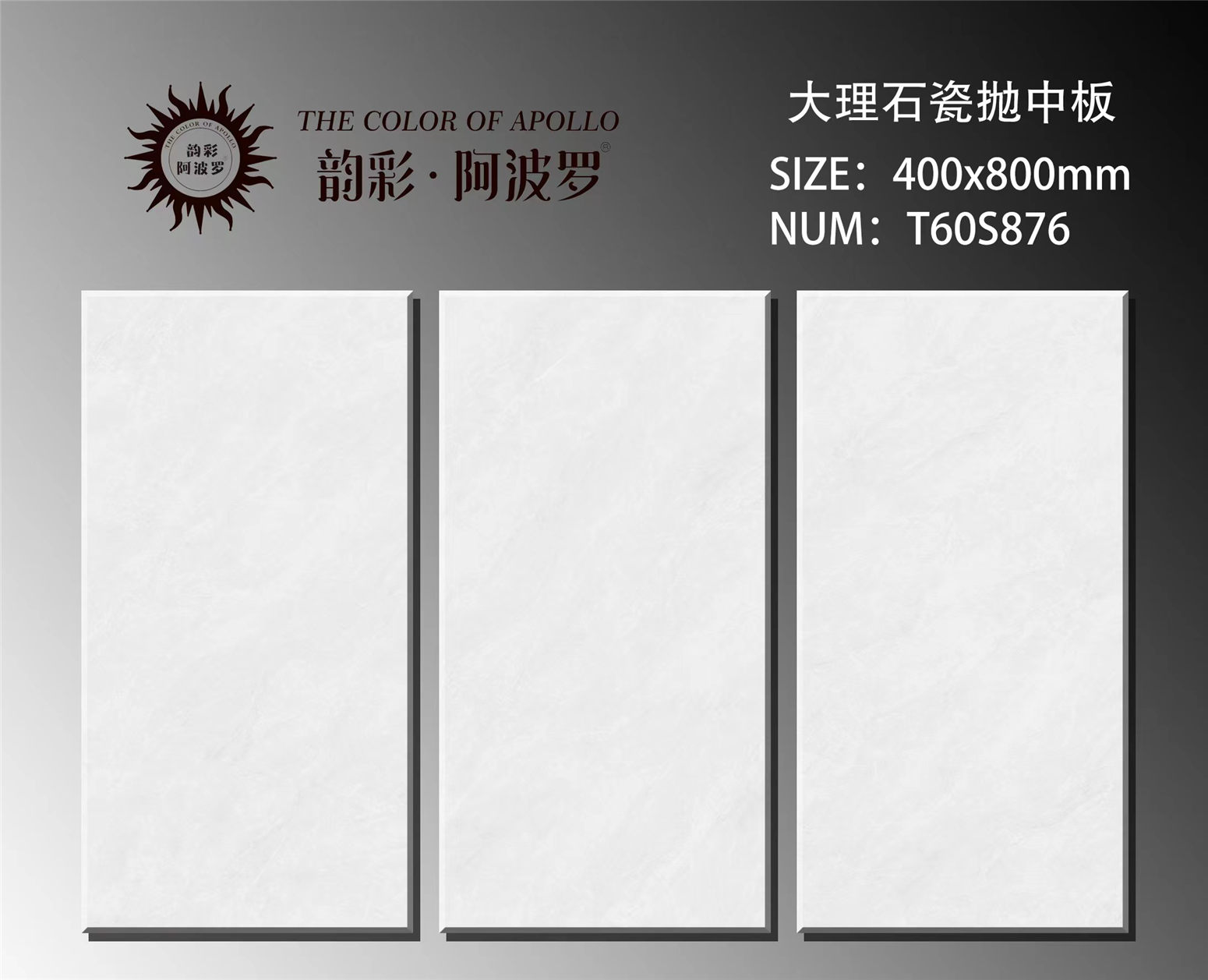 T60S876