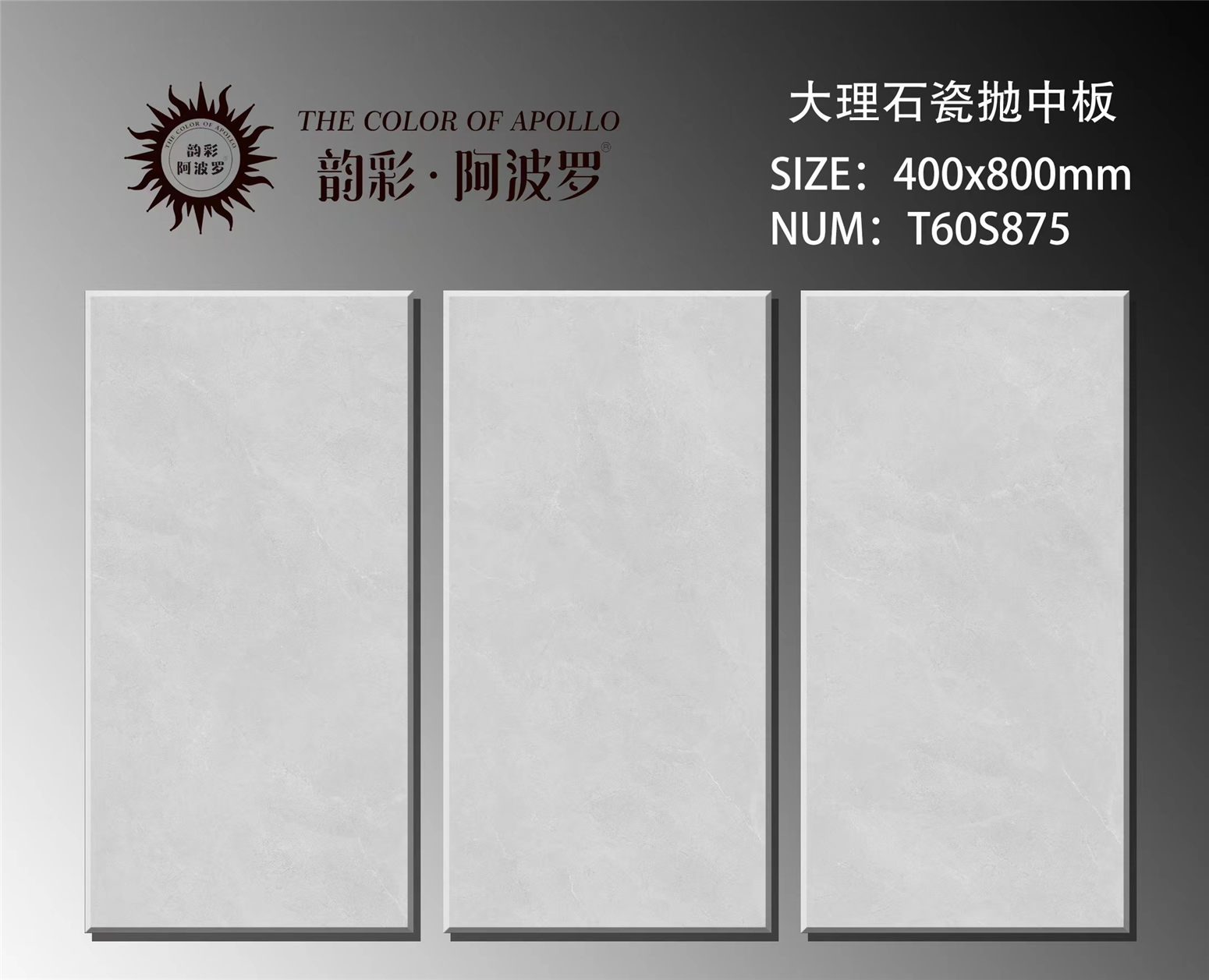 T60S875