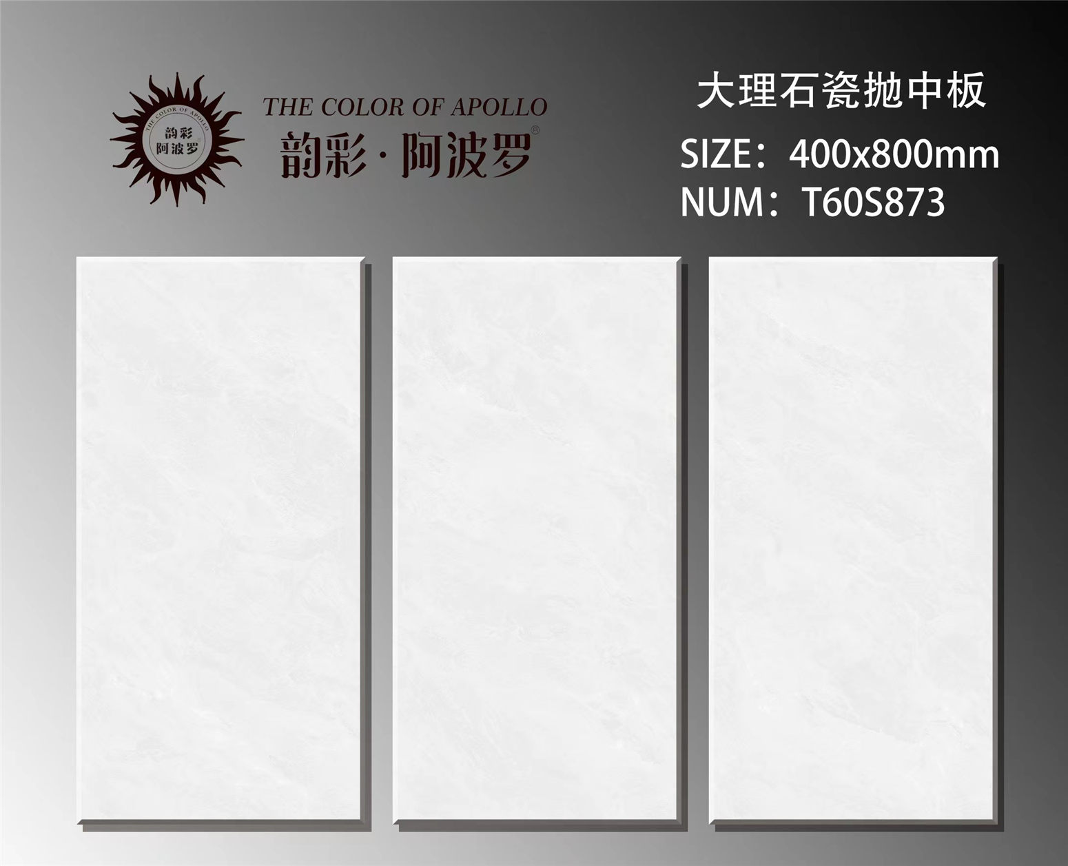 T60S873