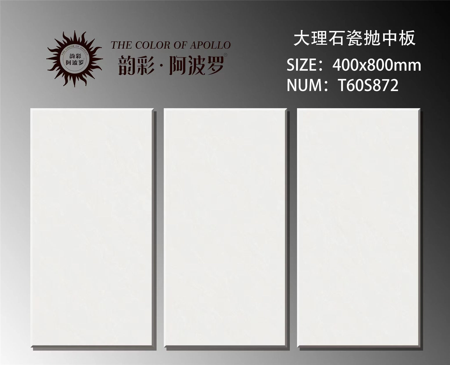 T60S872