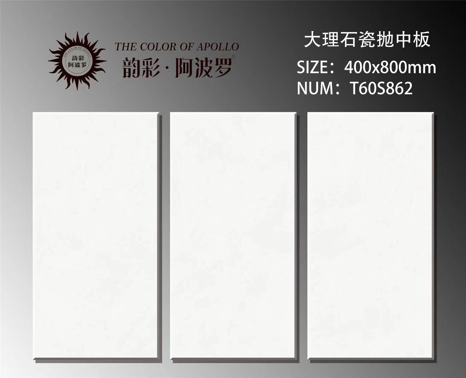 T60S862